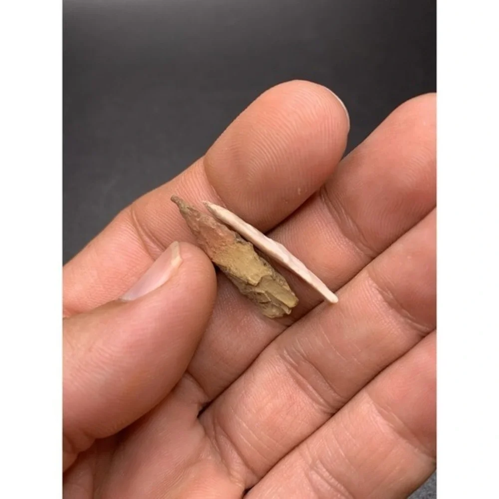 2 Authentic Madison‎ Triangle Arrowhead From Benton Co Mississippi 1 Inch
